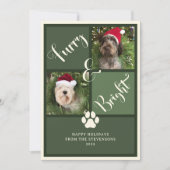 毛皮と明るい緑の写真コラージュ犬 シーズンカード (正面)