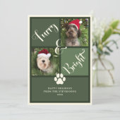 毛皮と明るい緑の写真コラージュ犬 シーズンカード (スタンド正面)