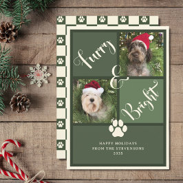 毛皮と明るい緑の写真コラージュ犬 シーズンカード