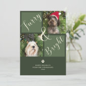 毛皮と明るい緑の赤2フォトドッグ シーズンカード (スタンド正面)