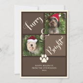 毛皮と明るい茶色のフォトコラージュ犬 シーズンカード (正面)