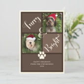 毛皮と明るい茶色のフォトコラージュ犬 シーズンカード (スタンド正面)