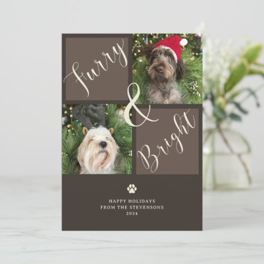 毛皮と明るい茶色の2フォトドッグ シーズンカード (スタンド正面)