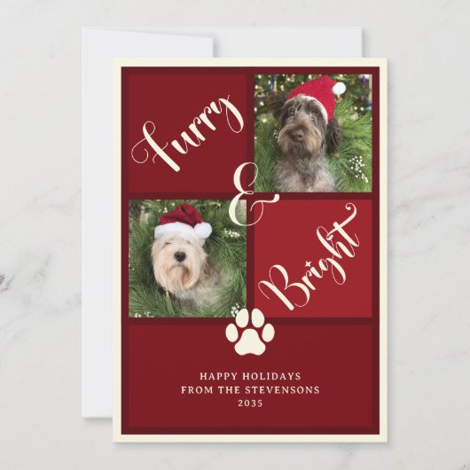 毛皮と明るい赤のコラージュ犬 シーズンカード (正面)