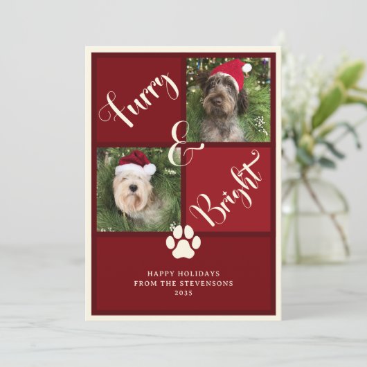 毛皮と明るい赤のコラージュ犬 シーズンカード (スタンド正面)