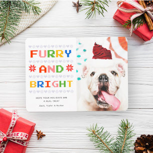 毛皮と明るい クリスマス・ホリデーのペット犬の写真 シーズンカード