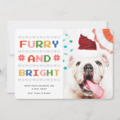 毛皮と明るい |クリスマス・ホリデーのペット犬の写真 シーズンカード (正面)