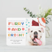 毛皮と明るい |クリスマス・ホリデーのペット犬の写真 シーズンカード (スタンド正面)