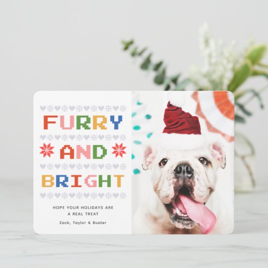 毛皮と明るい |クリスマス・ホリデーのペット犬の写真 シーズンカード (スタンド正面)