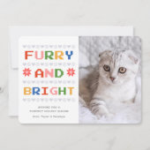 毛皮と明るい |クリスマス・ホリデーの猫の写真 シーズンカード (正面)