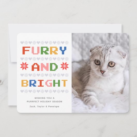 毛皮と明るい |クリスマス・ホリデーの猫の写真 シーズンカード (正面)