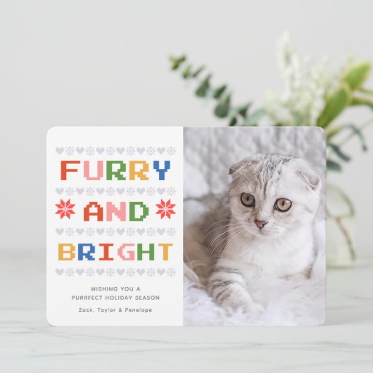 毛皮と明るい |クリスマス・ホリデーの猫の写真 シーズンカード (スタンド正面)