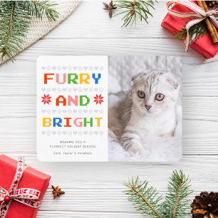 毛皮と明るい クリスマス・ホリデーの猫の写真 シーズンカード