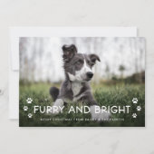 毛皮と明るい |犬からのクリスマスフォト シーズンカード (正面)
