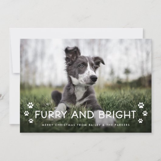 毛皮と明るい |犬からのクリスマスフォト シーズンカード (正面)