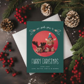 毛皮のクリスマスペットの写真 シーズンカード