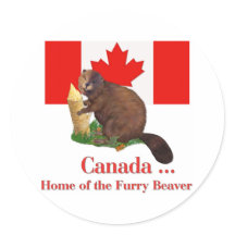 毛皮のビーバー