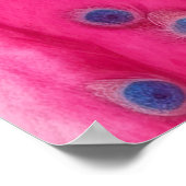 毛皮のピンクの動物ポスターの孔雀 ポスター (角)