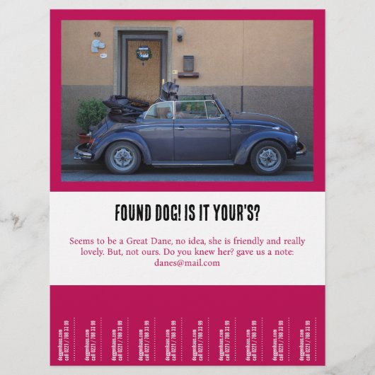 毛皮の友人を見つける チラシ (正面)