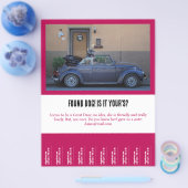 毛皮の友人を見つける チラシ (シングル)