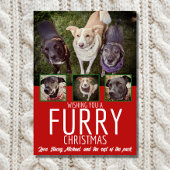 毛皮の数々のクリスマスフォトドッグのコラージクリスマス シーズンカード