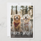 毛皮の明るい可愛いおもしろいペット犬の写真クリスマス シーズンカード (正面)