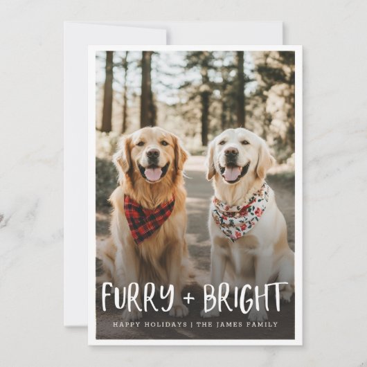 毛皮の明るい可愛いおもしろいペット犬の写真クリスマス シーズンカード (正面)