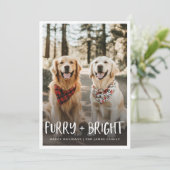 毛皮の明るい可愛いおもしろいペット犬の写真クリスマス シーズンカード (スタンド正面)