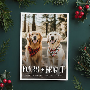 毛皮の明るい可愛いおもしろいペット犬の写真クリスマス シーズンカード