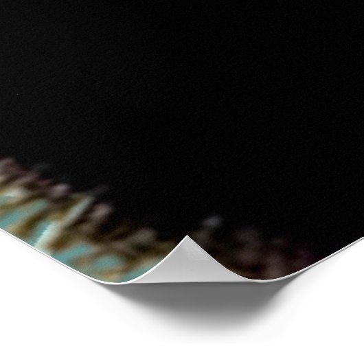 毛皮の美しい女性 ポスター (角)