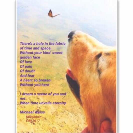 毛皮の赤ん坊を失ったすべての人のための詩 シール (正面)