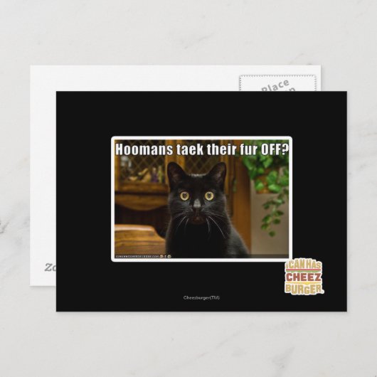 毛皮をオフにするパーマンは? ポストカード (正面/裏面)