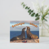 毛皮シール ポストカード (スタンド正面)