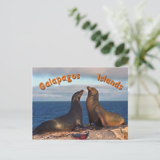 毛皮シール ポストカード (スタンド正面)