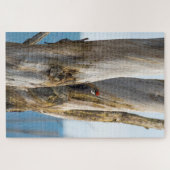 毛立てウッドペッカー ジグソーパズル (横)