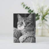毛糸が白黒の猫 ポストカード (スタンド正面)