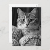 毛糸が白黒の猫 ポストカード (正面/裏面)