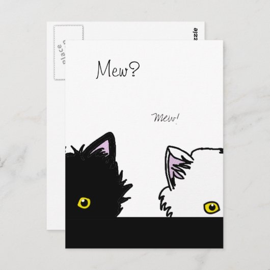 毛糸猫 ポストカード (正面/裏面)