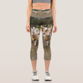 毛織の羊の来行進、高いカプリスのレギンス カプリレギンス (正面)