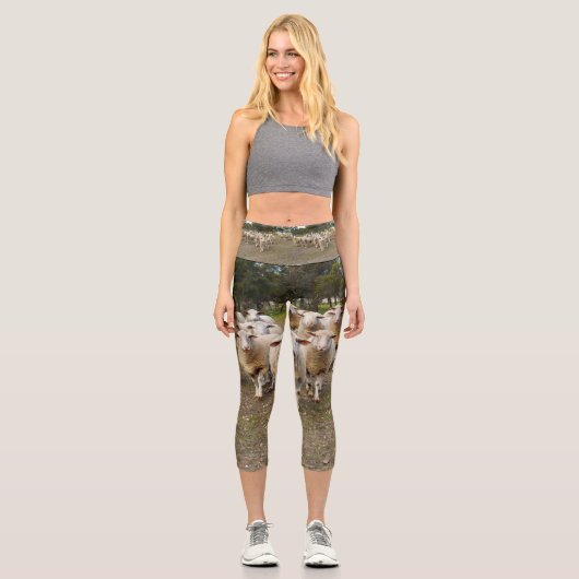 毛織の羊の来行進、高いカプリスのレギンス カプリレギンス (正面)