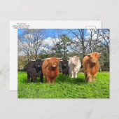 『毛織物』のはがき ポストカード (正面/裏面)