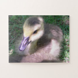 毛羽と物» ジグソーパズル