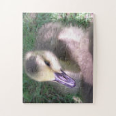 毛羽と物» ジグソーパズル (縦)