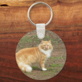 毛色のオレンジと白猫 キーホルダー (正面)