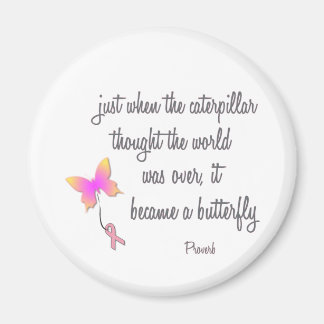 毛虫が蝶になった マグネット