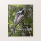 毛虫の多い黒いキャップの《鳥》アメリカゴガラ ジグソーパズル (縦)