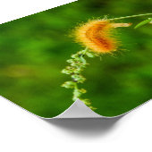 毛虫イエローウール虫ポスター ポスター (角)