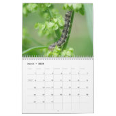 毛虫！カレンダー カレンダー (3月 2026)