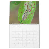 毛虫！カレンダー カレンダー (1月 2027)