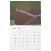 毛虫！カレンダー カレンダー (2月 2027)